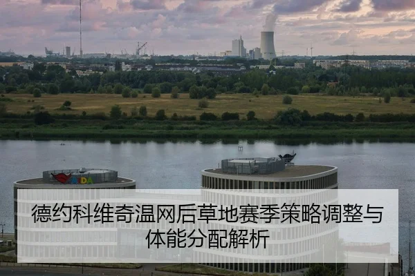 de-yue-ke-wei-qi-wen-wang-hou-cao-di-sai-ji-ce-lve-tiao-zheng-yu-ti-neng-fen-pei-jie-xi-2-646.jpg
