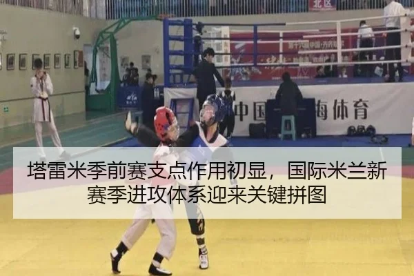 ta-lei-mi-ji-qian-sai-zhi-dian-zuo-yong-chu-xian-guo-ji-mi-lan-xin-sai-ji-jin-gong-ti-xi-ying-lai-guan-jian-pin-tu-2-329.jpg